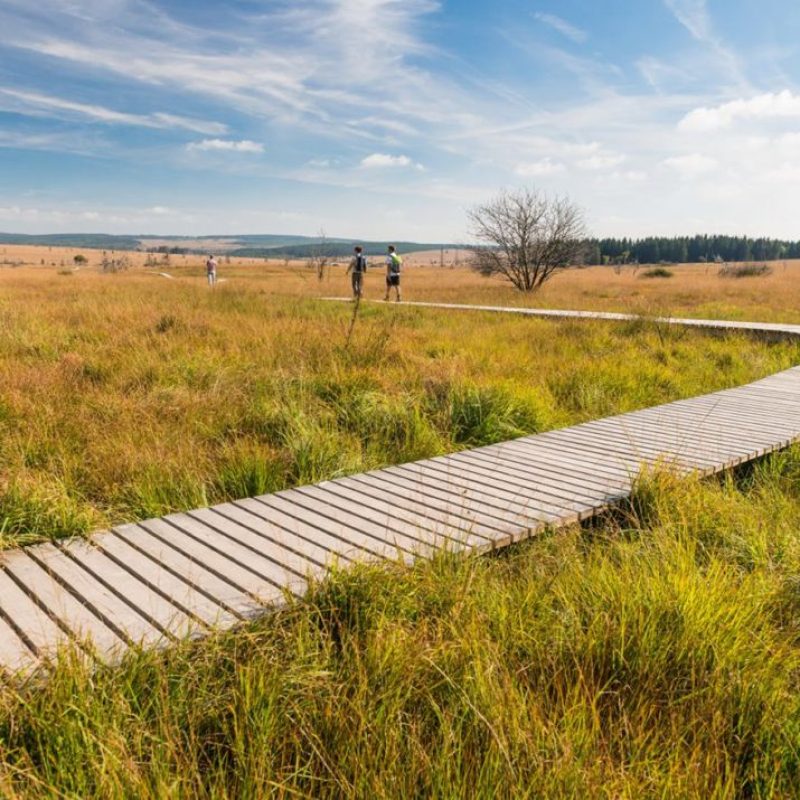 83773230_3459113817497258_6217050274326904832_n